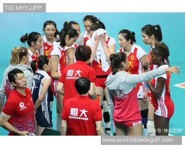 西安排球队实力引发热议球迷对战术与阵容展开激烈讨论