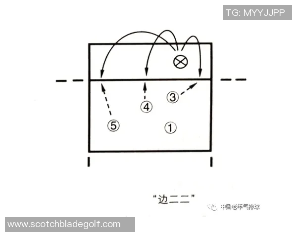 重庆排球队整体压制战术解析与实战应用探讨