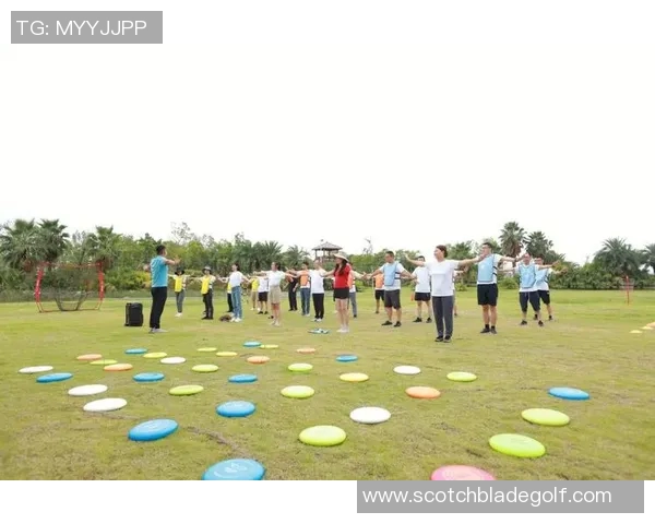 飞盘盛宴：深入了解西安飞盘队的比赛技巧与经验分享